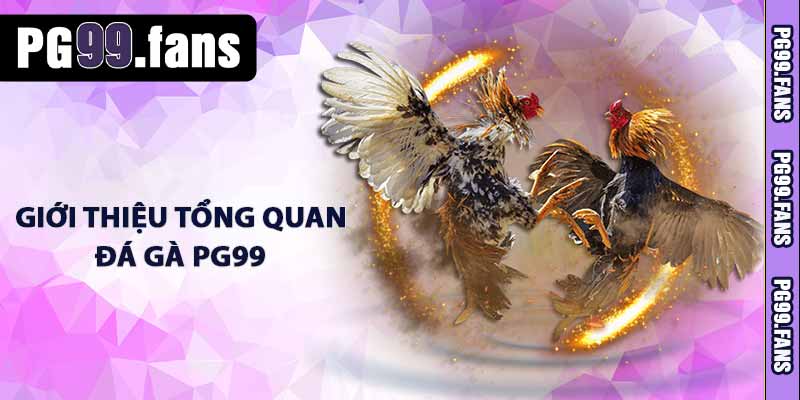 Đá Gà PG99 - Sân Chơi Dành Cho Người Yêu Thích Chiến Kê 2025 2 Giới thiệu tổng quan đá gà PG99